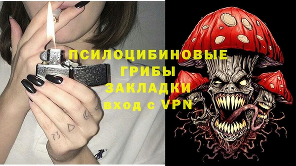 кокс Арсеньев