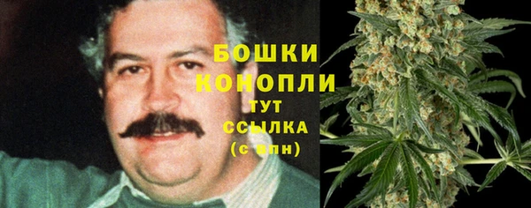 кокс Арсеньев
