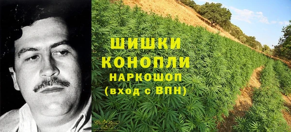 мет Аркадак