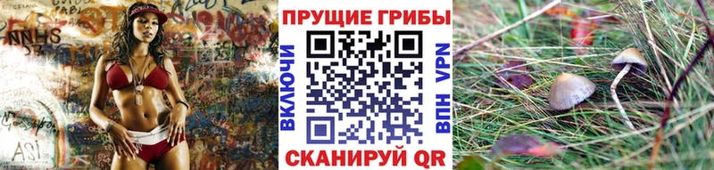 Галлюциногенные грибы Psilocybe  ОМГ ОМГ как войти  Старый Крым 